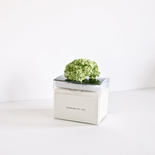 All Occasion Bouquet Enclosures